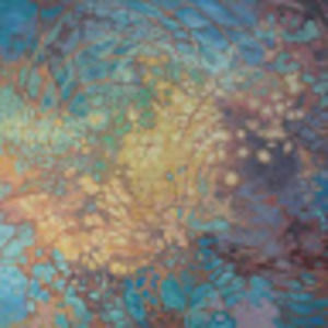 Meet your Posher, Ana